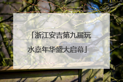浙江安吉第九届玩水嘉年华盛大启幕