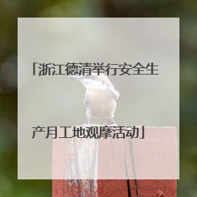 浙江德清举行安全生产月工地观摩活动