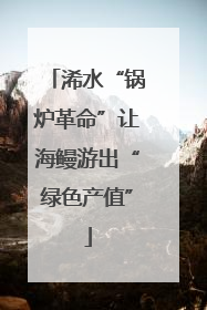浠水“锅炉革命”让海鳗游出“绿色产值”