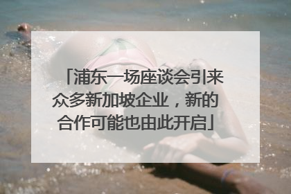 浦东一场座谈会引来众多新加坡企业，新的合作可能也由此开启