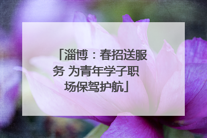 淄博：春招送服务 为青年学子职场保驾护航