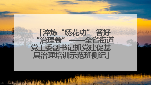 淬炼“绣花功” 答好“治理卷”——全省街道党工委副书记抓党建促基层治理培训示范班侧记