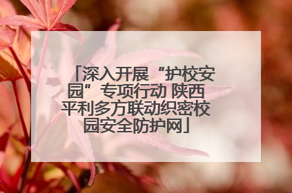 深入开展“护校安园”专项行动 陕西平利多方联动织密校园安全防护网
