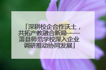 深耕校企合作沃土，共拓产教融合新局——萧县师范学校深入企业调研推动协同发展