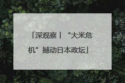 深观察丨“大米危机”撼动日本政坛