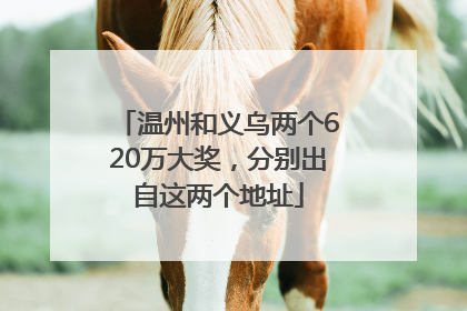 温州和义乌两个620万大奖，分别出自这两个地址
