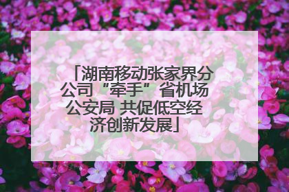 湖南移动张家界分公司“牵手”省机场公安局 共促低空经济创新发展