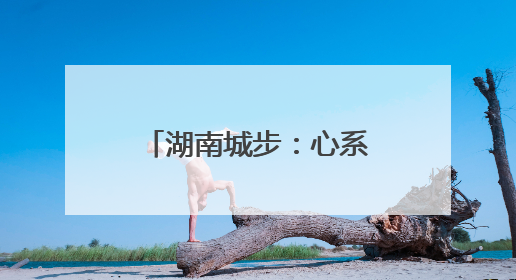 湖南城步：心系民生办实事 老区旧貌换新颜