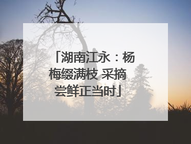 湖南江永：杨梅缀满枝 采摘尝鲜正当时