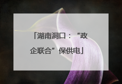 湖南洞口：“政企联合”保供电