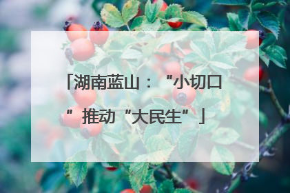 湖南蓝山：“小切口”推动“大民生”