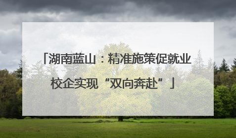 湖南蓝山：精准施策促就业 校企实现“双向奔赴”