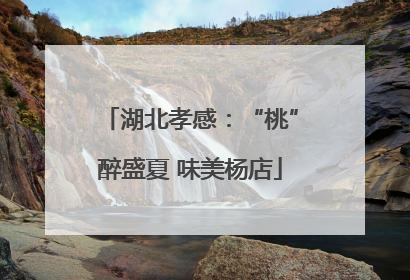 湖北孝感：“桃”醉盛夏 味美杨店