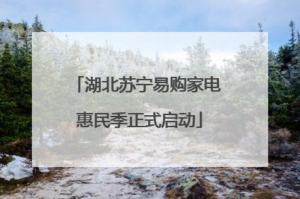 湖北苏宁易购家电惠民季正式启动