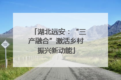 湖北远安：“三产融合”激活乡村振兴新动能