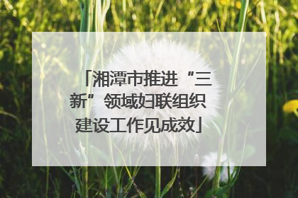 湘潭市推进“三新”领域妇联组织建设工作见成效