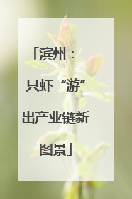 滨州：一只虾“游”出产业链新图景