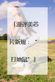 漫评美芯片新规：“打地鼠”
