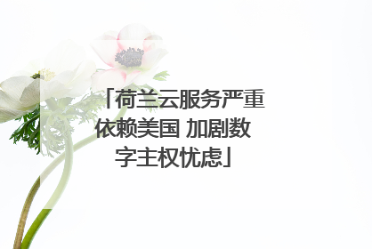 荷兰云服务严重依赖美国 加剧数字主权忧虑