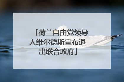 荷兰自由党领导人维尔德斯宣布退出联合政府