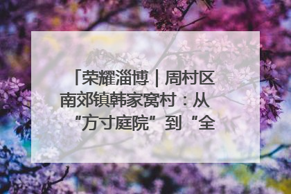 荣耀淄博｜周村区南郊镇韩家窝村：从“方寸庭院”到“全域文明”，乡村振兴的“美学革命”