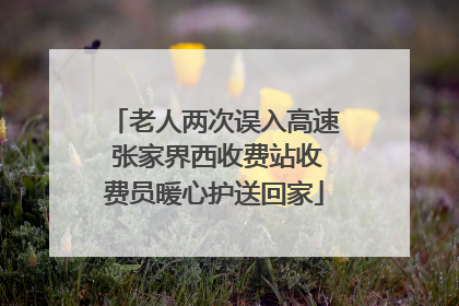老人两次误入高速 张家界西收费站收费员暖心护送回家