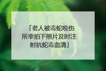 老人被毒蛇咬伤 所幸拍下照片及时注射抗蛇毒血清