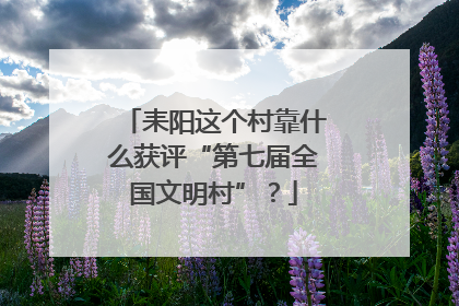 耒阳这个村靠什么获评“第七届全国文明村”？