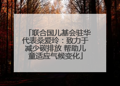 联合国儿基会驻华代表桑爱玲：致力于减少碳排放 帮助儿童适应气候变化