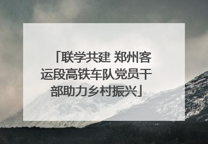 联学共建 郑州客运段高铁车队党员干部助力乡村振兴