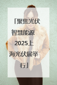 聚焦光伏智慧能源 2025上海光伏展举行