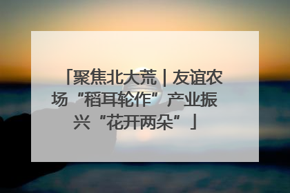 聚焦北大荒｜友谊农场“稻耳轮作”产业振兴“花开两朵”