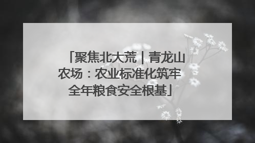 聚焦北大荒｜青龙山农场：农业标准化筑牢全年粮食安全根基