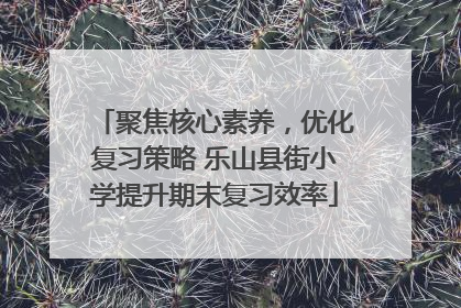 聚焦核心素养，优化复习策略 乐山县街小学提升期末复习效率