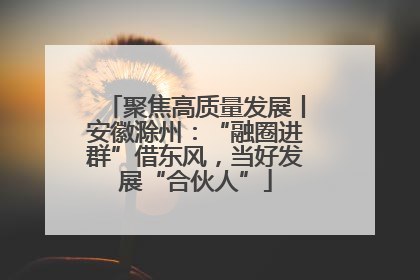 聚焦高质量发展丨安徽滁州：“融圈进群”借东风，当好发展“合伙人”