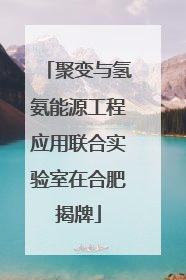聚变与氢氨能源工程应用联合实验室在合肥揭牌
