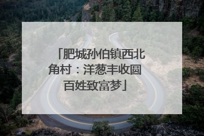 肥城孙伯镇西北角村：洋葱丰收圆百姓致富梦