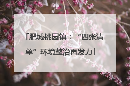肥城桃园镇：“四张清单”环境整治再发力