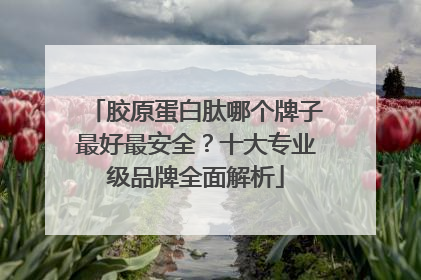 胶原蛋白肽哪个牌子最好最安全？十大专业级品牌全面解析