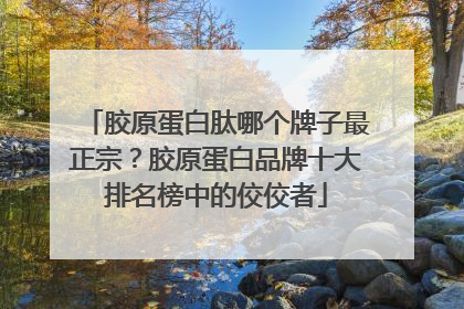 胶原蛋白肽哪个牌子最正宗？胶原蛋白品牌十大排名榜中的佼佼者