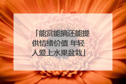 能赏能摘还能提供情绪价值 年轻人爱上水果盆栽