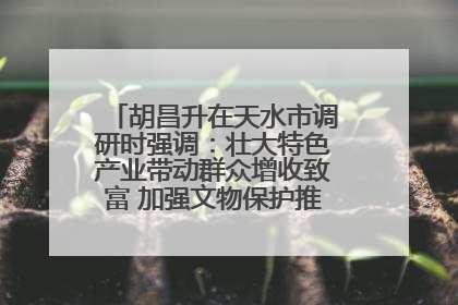 胡昌升在天水市调研时强调：壮大特色产业带动群众增收致富 加强文物保护推动文化创新发展