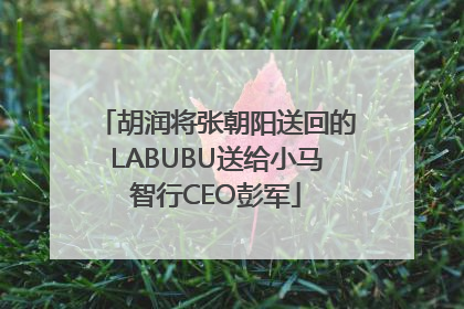 胡润将张朝阳送回的LABUBU送给小马智行CEO彭军