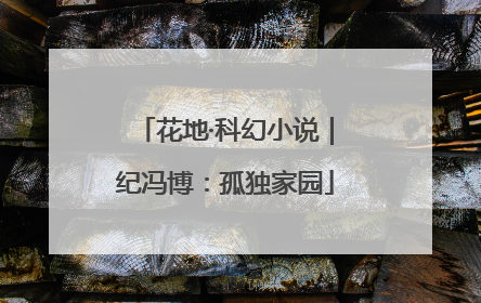 花地·科幻小说｜纪冯博：孤独家园