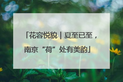 花容悦貌｜夏至已至，南京“荷”处有美韵