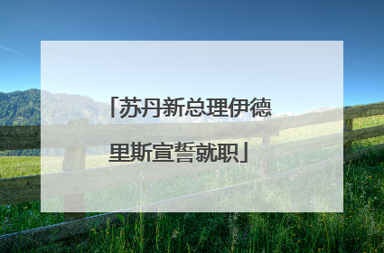 苏丹新总理伊德里斯宣誓就职