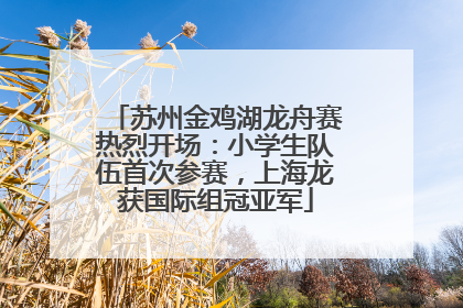 苏州金鸡湖龙舟赛热烈开场：小学生队伍首次参赛，上海龙获国际组冠亚军