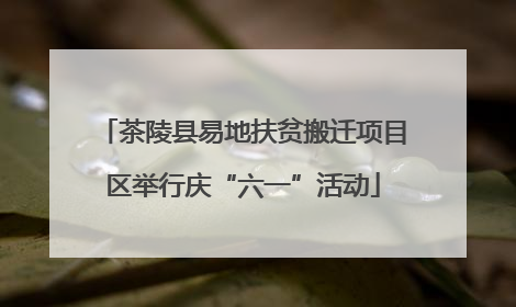 茶陵县易地扶贫搬迁项目区举行庆“六一”活动