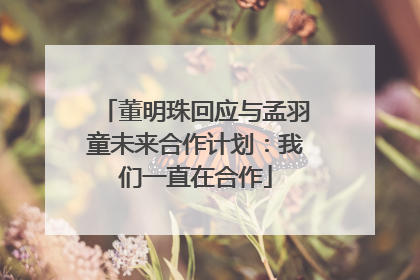 董明珠回应与孟羽童未来合作计划：我们一直在合作