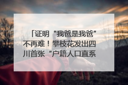 证明“我爸是我爸”不再难！攀枝花发出四川首张“户籍人口直系亲属关系谱”